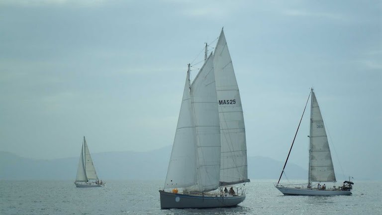 SCHOONER 50